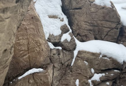 Зона басейну зі штучною скелею з арт бетону, сучасний стиль