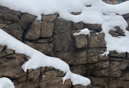 Зона басейну зі штучною скелею з арт бетону, сучасний стиль