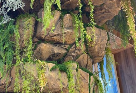 Штучні скелі з арт бетону в інтер'єрі, Київська область