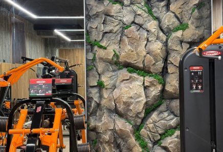 Штучні скелі з арт бетону в інтер'єрі, Київська область